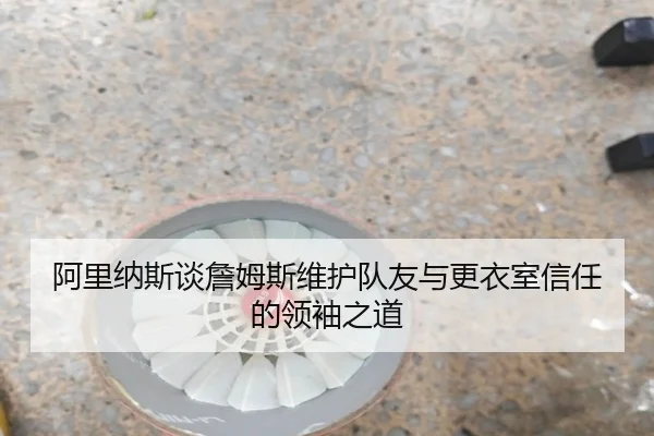 阿里纳斯谈詹姆斯维护队友与更衣室信任的领袖之道
